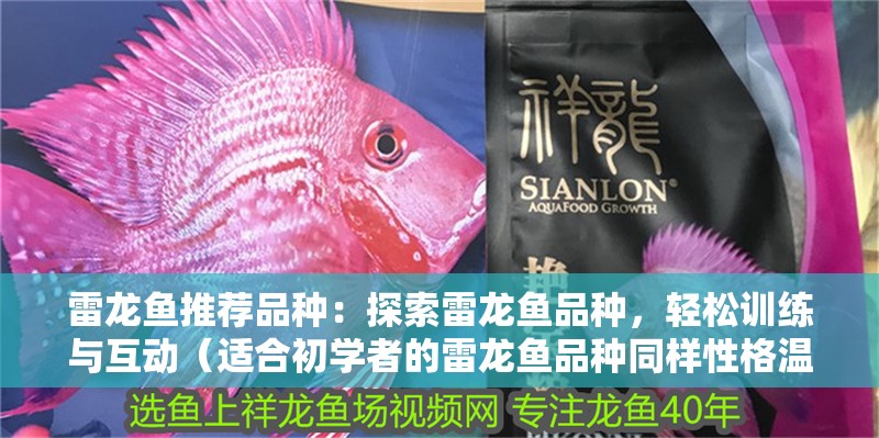 雷龍魚推薦品種：探索雷龍魚品種，輕松訓練與互動（適合初學者的雷龍魚品種同樣性格溫和）