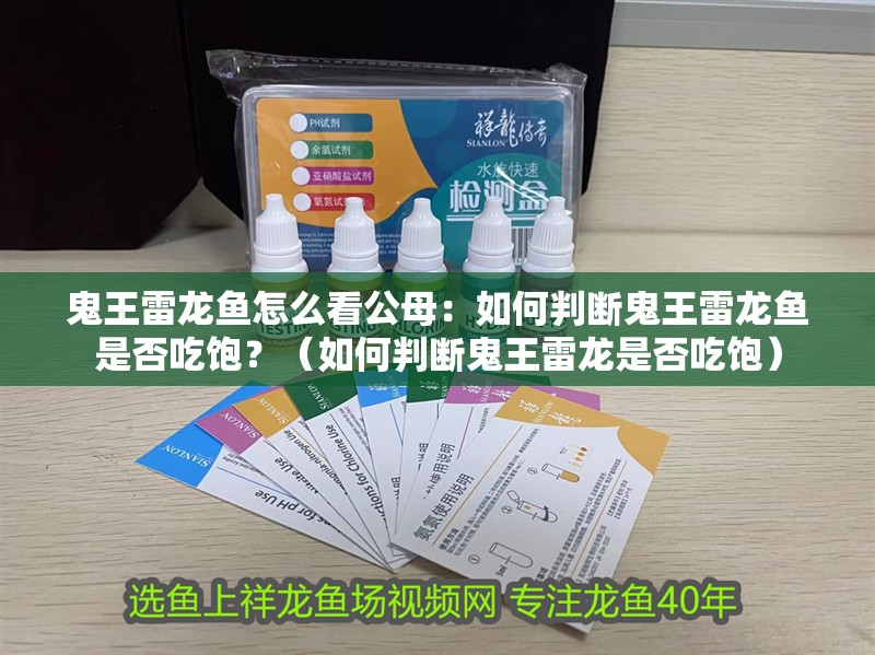 鬼王雷龍魚怎么看公母：如何判斷鬼王雷龍魚是否吃飽？（如何判斷鬼王雷龍是否吃飽）