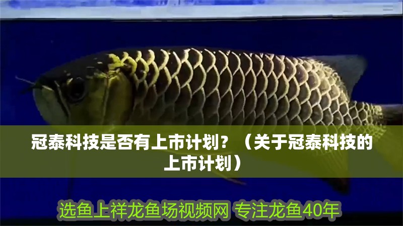 冠泰科技是否有上市計劃？（關于冠泰科技的上市計劃）