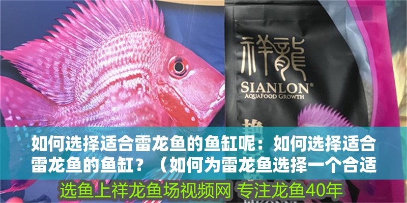 如何選擇適合雷龍魚的魚缸呢：如何選擇適合雷龍魚的魚缸？（如何為雷龍魚選擇一個合適的魚缸）