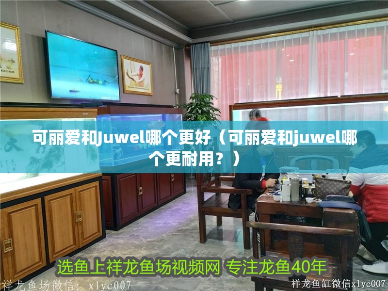 可麗愛和Juwel哪個(gè)更好（可麗愛和juwel哪個(gè)更耐用？）