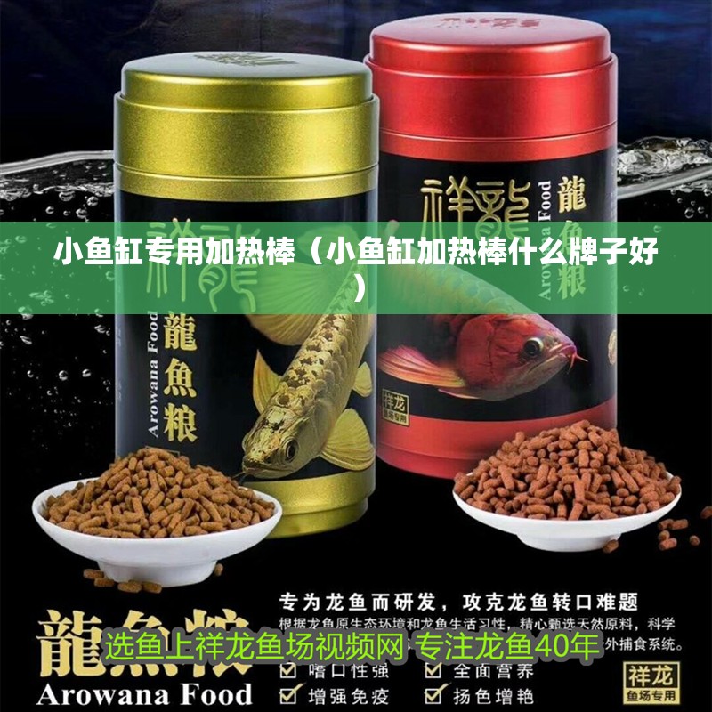 小魚缸專用加熱棒（小魚缸加熱棒什么牌子好）
