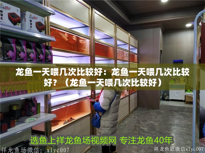 龍魚一天喂幾次比較好：龍魚一天喂幾次比較好？（龍魚一天喂幾次比較好）