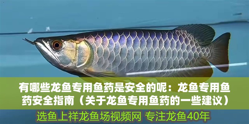 有哪些龍魚專用魚藥是安全的呢：龍魚專用魚藥安全指南（關(guān)于龍魚專用魚藥的一些建議）