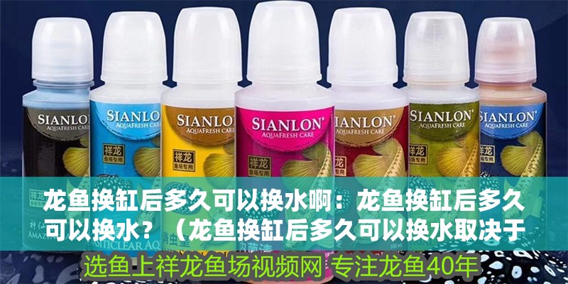 龍魚換缸后多久可以換水啊：龍魚換缸后多久可以換水？（龍魚換缸后多久可以換水取決于多久可以換水取決于多久）