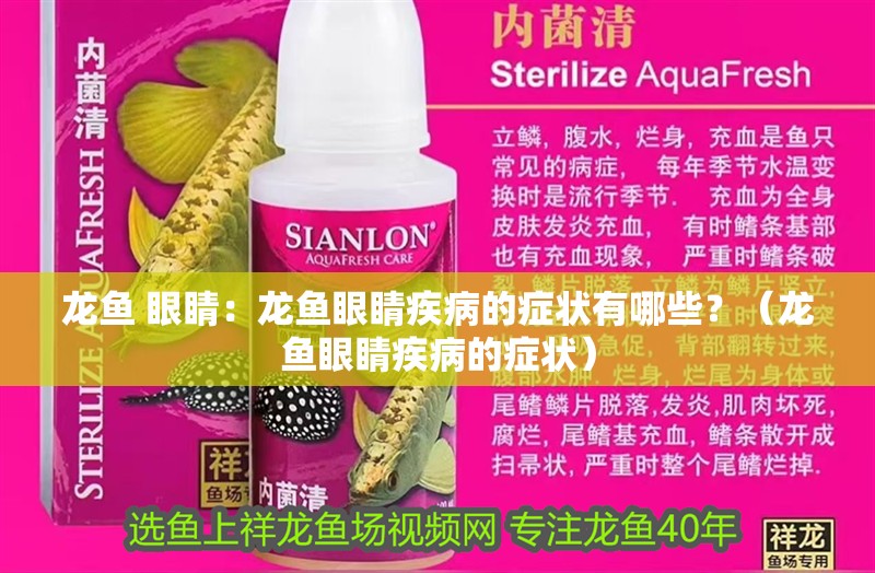 龍魚 眼睛：龍魚眼睛疾病的癥狀有哪些？（龍魚眼睛疾病的癥狀）