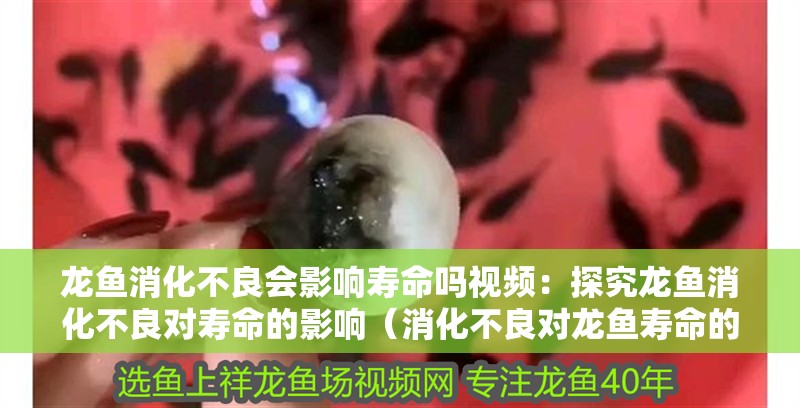 龍魚消化不良會影響壽命嗎視頻：探究龍魚消化不良對壽命的影響（消化不良對龍魚壽命的影響）