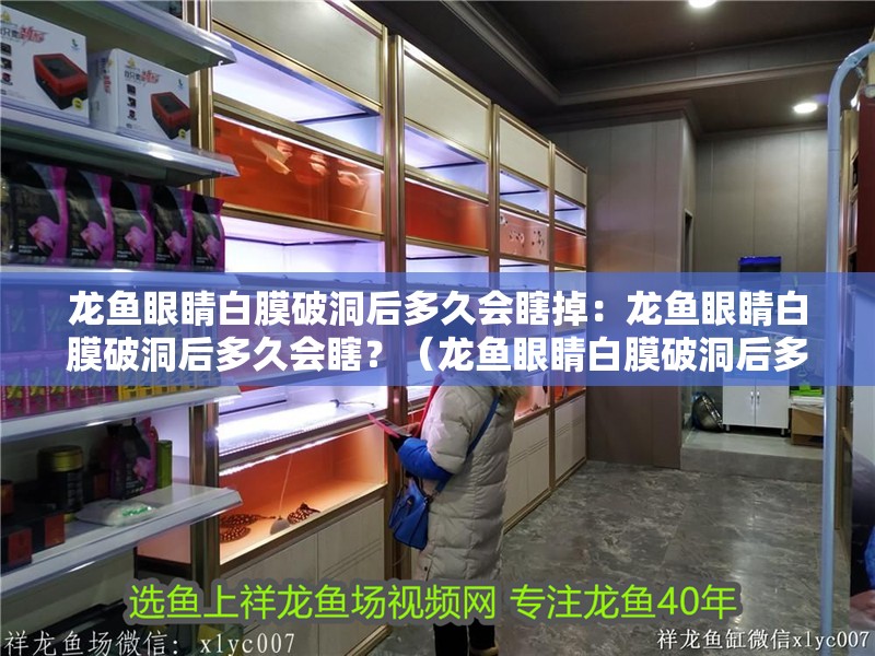 龍魚眼睛白膜破洞后多久會瞎掉：龍魚眼睛白膜破洞后多久會瞎？（龍魚眼睛白膜破洞后多久會瞎掉）
