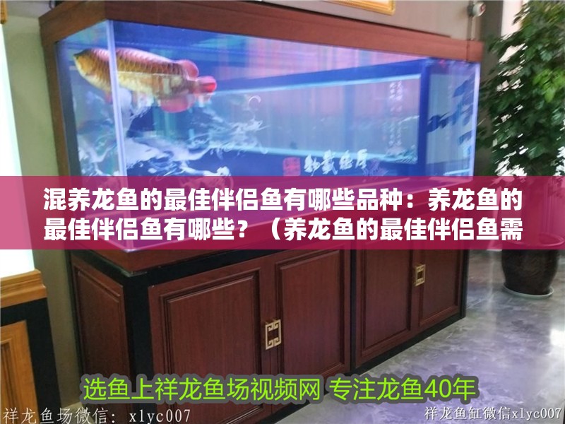 混養龍魚的最佳伴侶魚有哪些品種：養龍魚的最佳伴侶魚有哪些？（養龍魚的最佳伴侶魚需要考慮到龍魚的品種、性格以及魚缸環境）