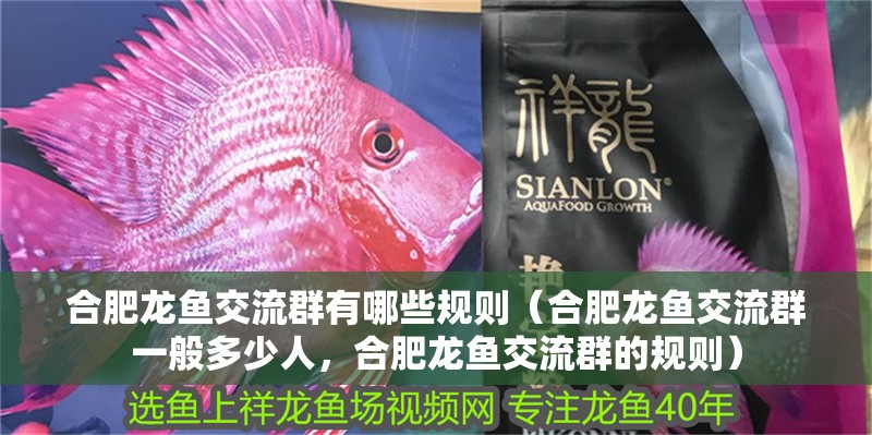合肥龍魚交流群有哪些規(guī)則（合肥龍魚交流群一般多少人，合肥龍魚交流群的規(guī)則）