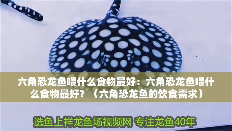 六角恐龍魚喂什么食物最好：六角恐龍魚喂什么食物最好？（六角恐龍魚的飲食需求）