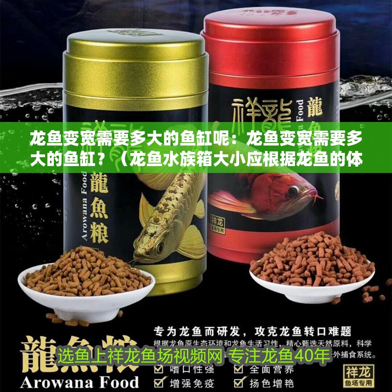 龍魚變寬需要多大的魚缸呢：龍魚變寬需要多大的魚缸？（龍魚水族箱大小應根據龍魚的體型增長和體型增長趨勢）