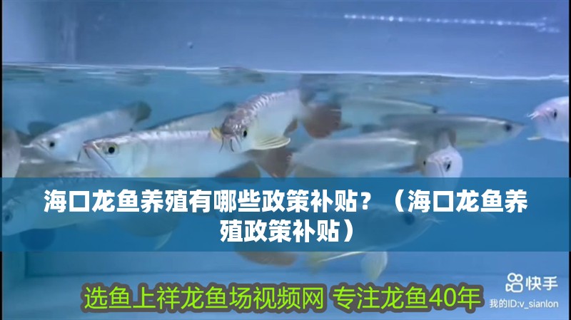 <strong><mark>海口</mark></strong>龍魚養(yǎng)殖有哪些政策補(bǔ)貼？（<strong><mark>海口</mark></strong>龍魚養(yǎng)殖政策補(bǔ)貼）