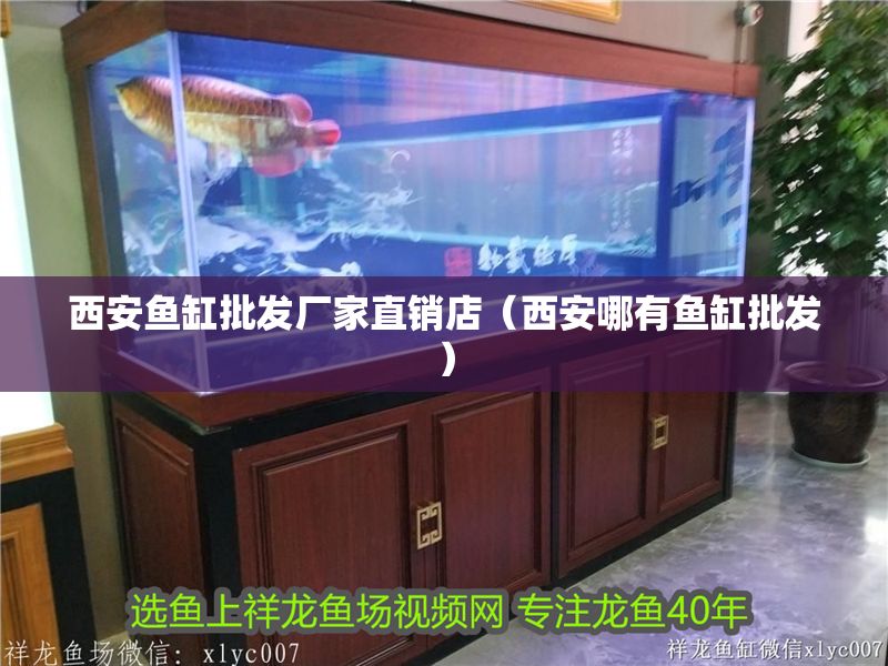 西安魚缸批發廠家直銷店（西安哪有魚缸批發）
