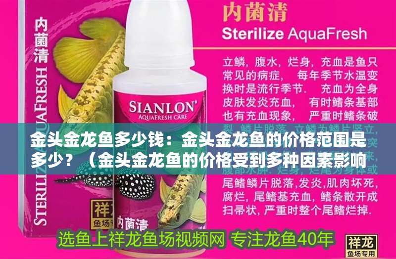 魚缸用增氧泵價格是多少:魚缸增氧機-xtrac增氧機-xtrac增氧機 金頭金龍魚多少錢:金頭金龍魚的價格范圍是多少?(金頭金龍魚的價格受到多種因素影響價格的影響是多少) 水族問答 金頭金龍魚多少錢:金頭金龍魚的價格范圍是多少?(金頭金龍魚的價格受到多種因素影響價格的影響是多少) 金頭金龍魚多少錢:金頭金龍魚的價格范圍是多少?(金頭金龍魚的價格受到多種因素影響價格的影響是多少) 水族問答