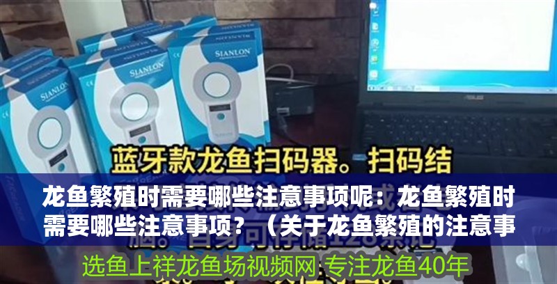 龍魚繁殖時需要哪些注意事項呢：龍魚繁殖時需要哪些注意事項？（關于龍魚繁殖的注意事項）