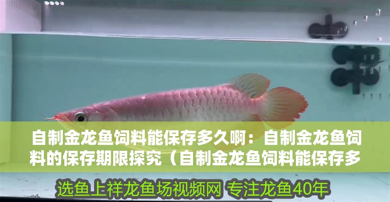自制金龍魚飼料能保存多久啊：自制金龍魚飼料的保存期限探究（自制金龍魚飼料能保存多久）
