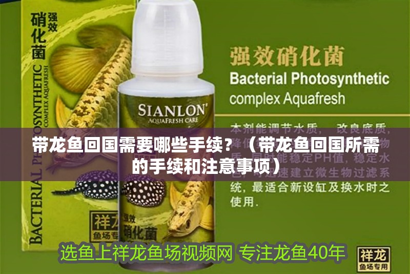 帶龍魚(yú)回國(guó)需要哪些手續(xù)？（帶龍魚(yú)回國(guó)所需的手續(xù)和注意事項(xiàng)）