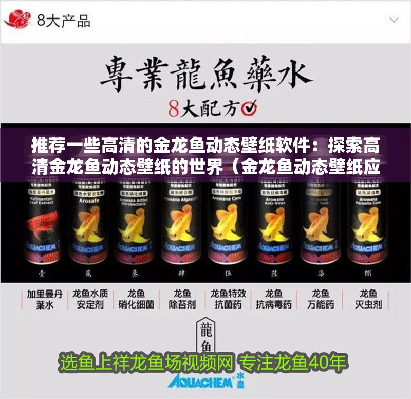 推薦一些高清的金龍魚動態壁紙軟件：探索高清金龍魚動態壁紙的世界（金龍魚動態壁紙應用高質量的金龍魚動態壁紙應用的特點）
