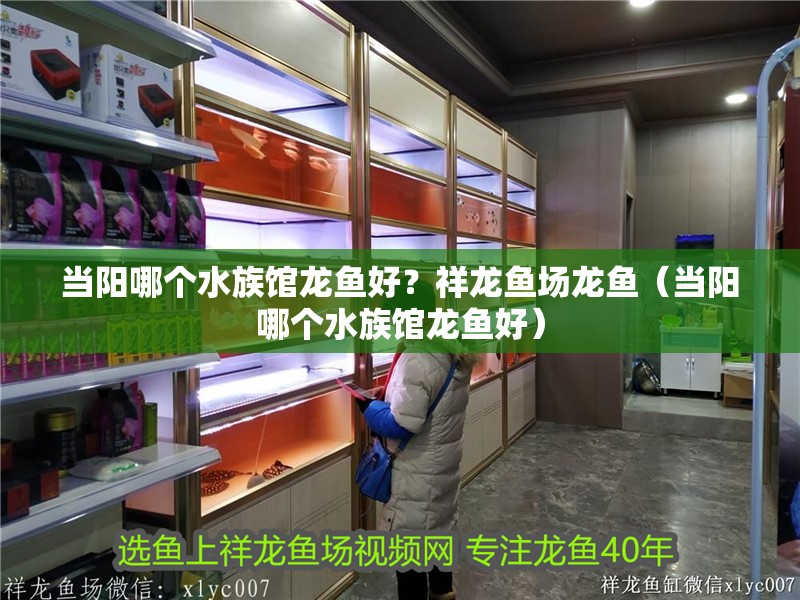 當陽哪個水族館龍魚好？祥龍魚場龍魚（當陽哪個水族館龍魚好）