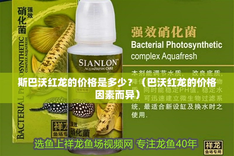 斯巴沃紅龍的價格是多少？（巴沃紅龍的價格因素而異）
