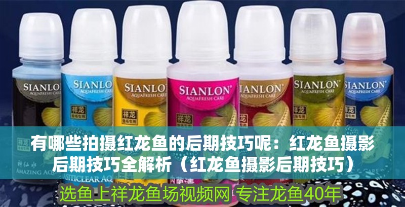 有哪些拍攝紅龍魚的后期技巧呢：紅龍魚攝影后期技巧全解析（紅龍魚攝影后期技巧）