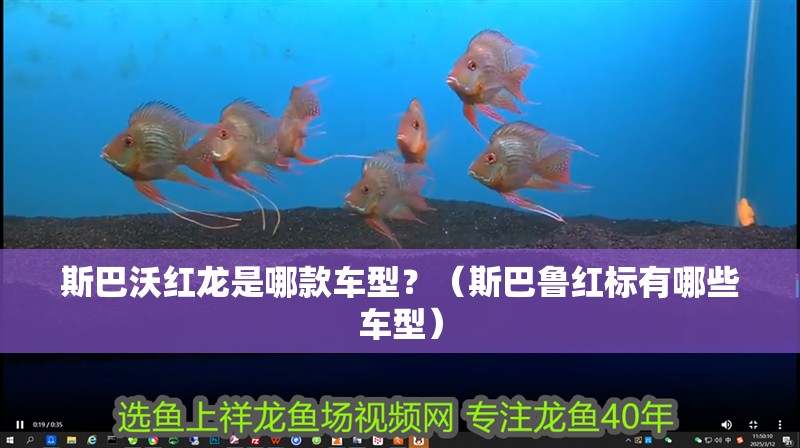 斯巴沃紅龍是哪款車型？（斯巴魯紅標有哪些車型）