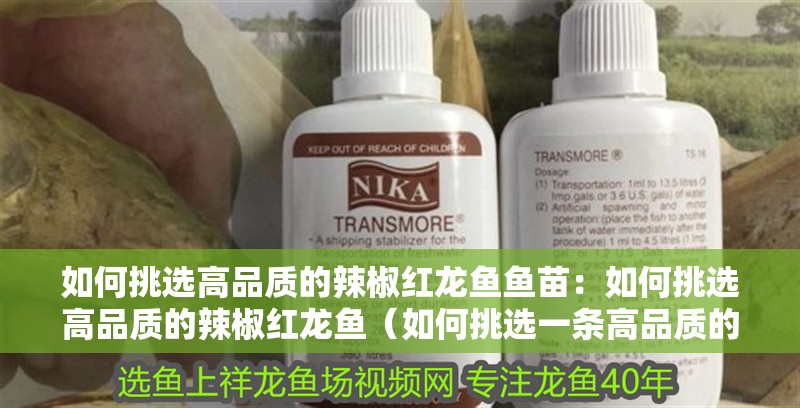 如何挑選高品質的辣椒紅龍魚魚苗：如何挑選高品質的辣椒紅龍魚（如何挑選一條高品質的辣椒紅龍魚）