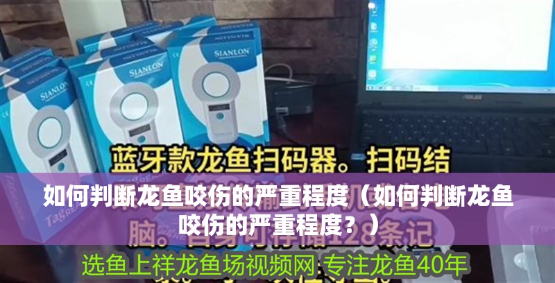 如何判斷龍魚咬傷的嚴重程度（如何判斷龍魚咬傷的嚴重程度？）