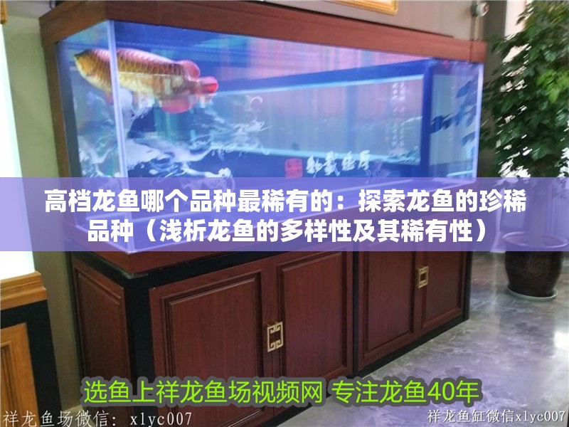 高檔龍魚哪個品種最稀有的：探索龍魚的珍稀品種（淺析龍魚的多樣性及其稀有性）
