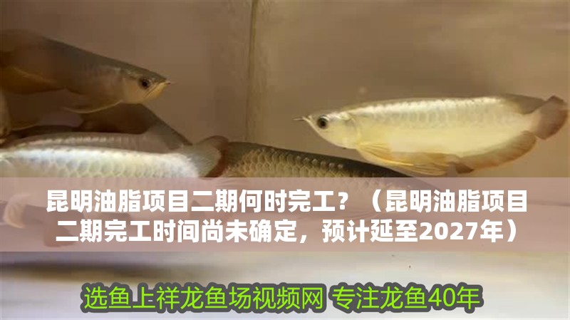 昆明油脂項目二期何時完工？（昆明油脂項目二期完工時間尚未確定，預計延至2027年）