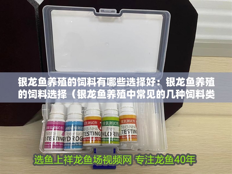 銀龍魚養殖的飼料有哪些選擇好：銀龍魚養殖的飼料選擇（銀龍魚養殖中常見的幾種飼料類型）