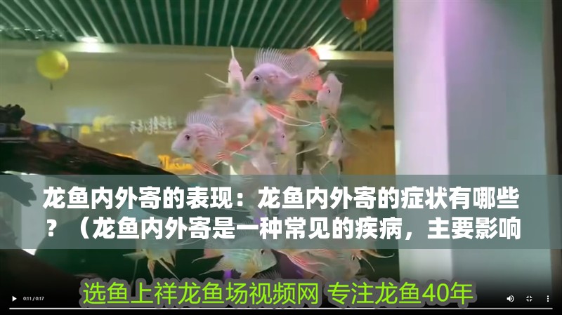 龍魚內(nèi)外寄的表現(xiàn)：龍魚內(nèi)外寄的癥狀有哪些？（龍魚內(nèi)外寄是一種常見的疾病，主要影響龍魚的消化系統(tǒng)和呼吸系統(tǒng)） 龍魚內(nèi)外寄的表現(xiàn)：龍魚內(nèi)外寄的癥狀有哪些？（龍魚內(nèi)外寄是一種常見的疾病，主要影響龍魚的消化系統(tǒng)和呼吸系統(tǒng)） 水族問(wèn)答