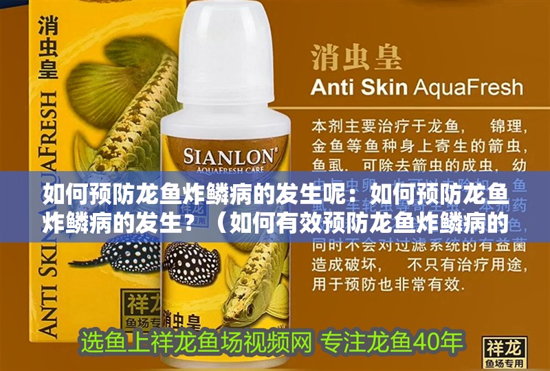 如何預防龍魚炸鱗病的發生呢：如何預防龍魚炸鱗病的發生？（如何有效預防龍魚炸鱗病的發生）