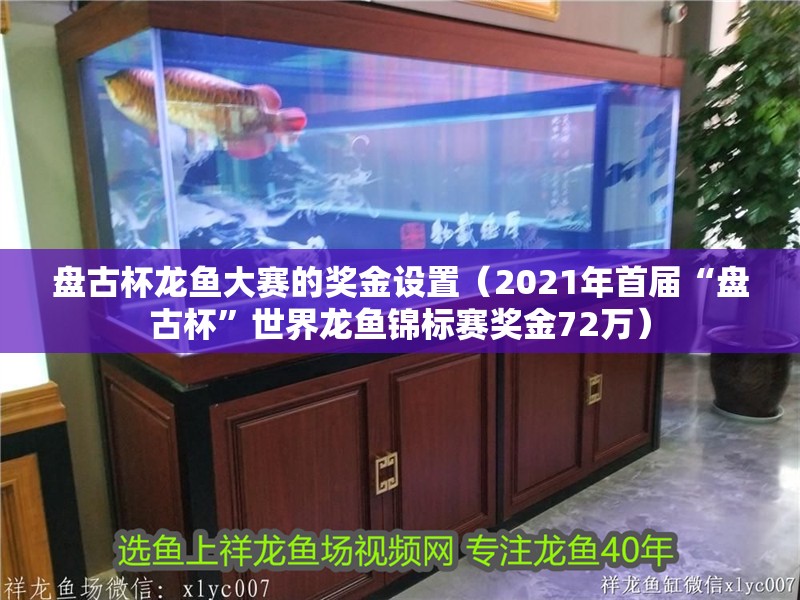 盤古杯龍魚大賽的獎金設置（2021年首屆“盤古杯”世界龍魚錦標賽獎金72萬）