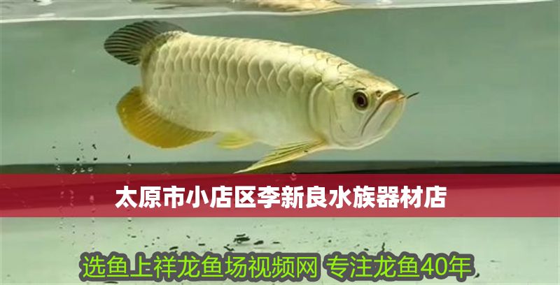 太原市<strong><mark>小店</mark></strong>區李新良水族器材店