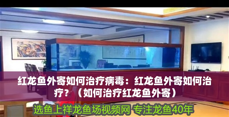 紅龍魚外寄如何治療病毒：紅龍魚外寄如何治療？（如何治療紅龍魚外寄）