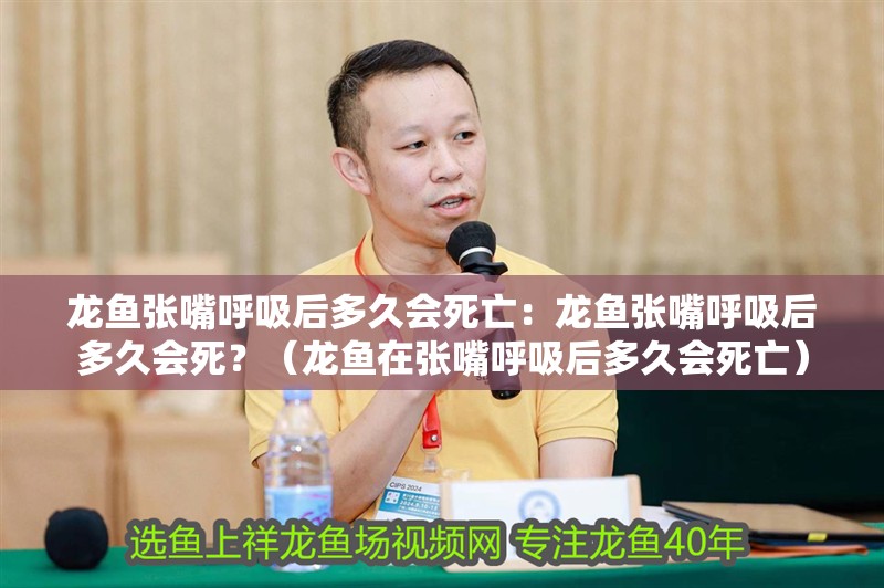 龍魚張嘴呼吸后多久會死亡：龍魚張嘴呼吸后多久會死？（龍魚在張嘴呼吸后多久會死亡）