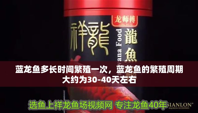 藍龍魚多長時間繁殖一次，藍龍魚的繁殖周期大約為30-40天左右