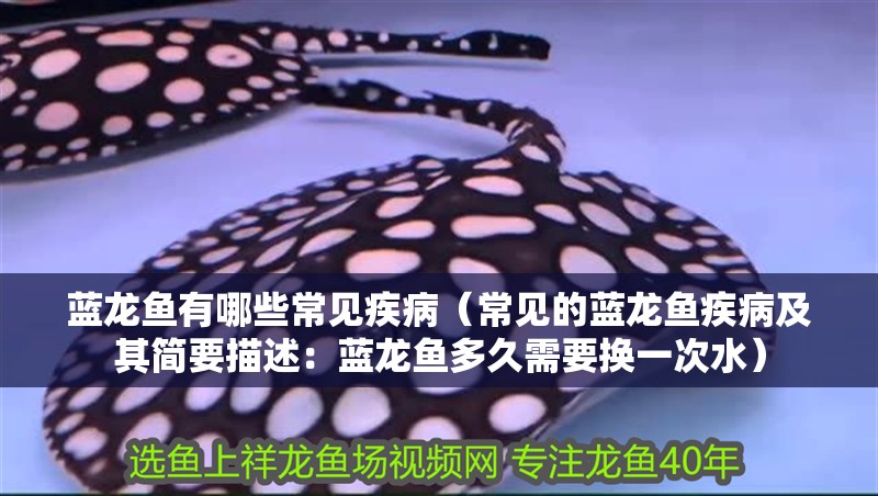 藍龍魚有哪些常見疾病（常見的藍龍魚疾病及其簡要描述：藍龍魚多久需要換一次水）