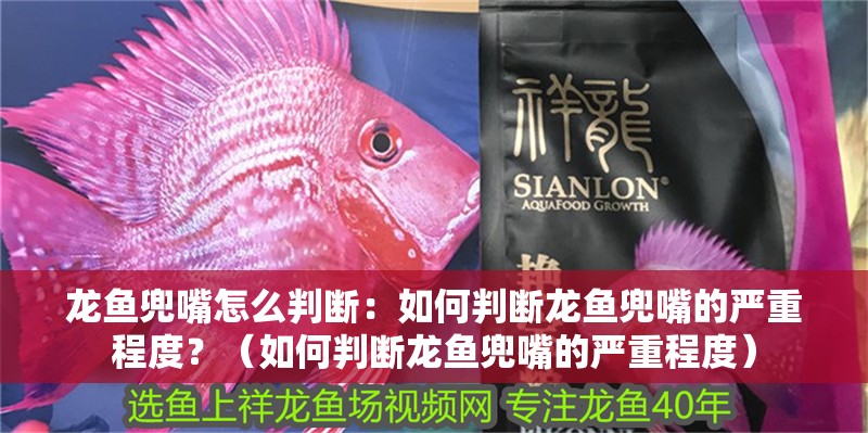 龍魚兜嘴怎么判斷：如何判斷龍魚兜嘴的嚴重程度？（如何判斷龍魚兜嘴的嚴重程度）