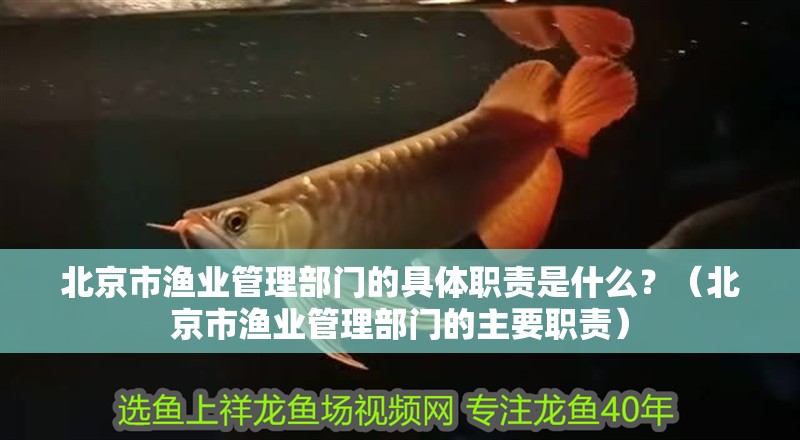<strong><mark>北京</mark></strong>市漁業管理部門的具體職責是什么？（<strong><mark>北京</mark></strong>市漁業管理部門的主要職責）