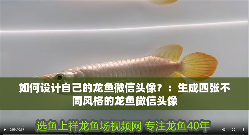 如何設計自己的龍魚微信頭像？：生成四張不同風格的龍魚微信頭像 如何設計自己的龍魚微信頭像？：生成四張不同風格的龍魚微信頭像 龍魚百科