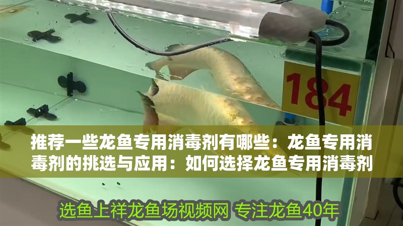 推薦一些龍魚專用消毒劑有哪些：龍魚專用消毒劑的挑選與應用：如何選擇龍魚專用消毒劑