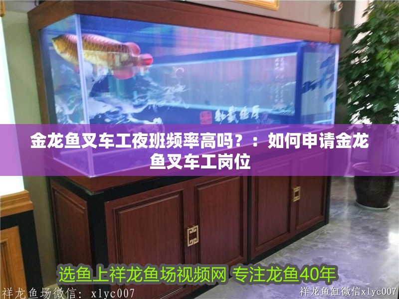 金龍魚叉車工夜班頻率高嗎？：如何申請金龍魚叉車工崗位