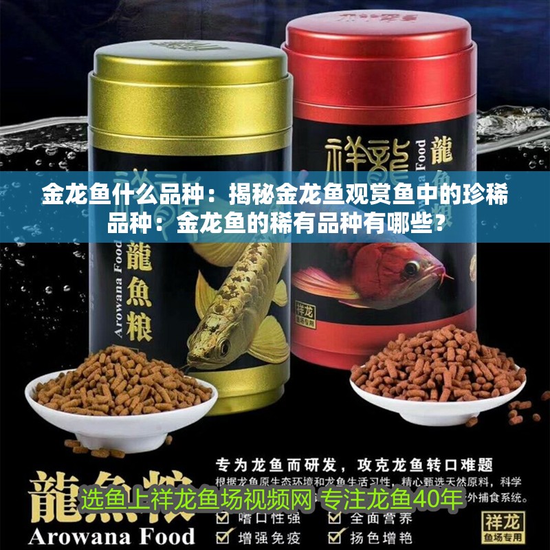 金龍魚什么品種：揭秘金龍魚觀賞魚中的珍稀品種：金龍魚的稀有品種有哪些？ 金龍魚什么品種：揭秘金龍魚觀賞魚中的珍稀品種：金龍魚的稀有品種有哪些？ 水族問答