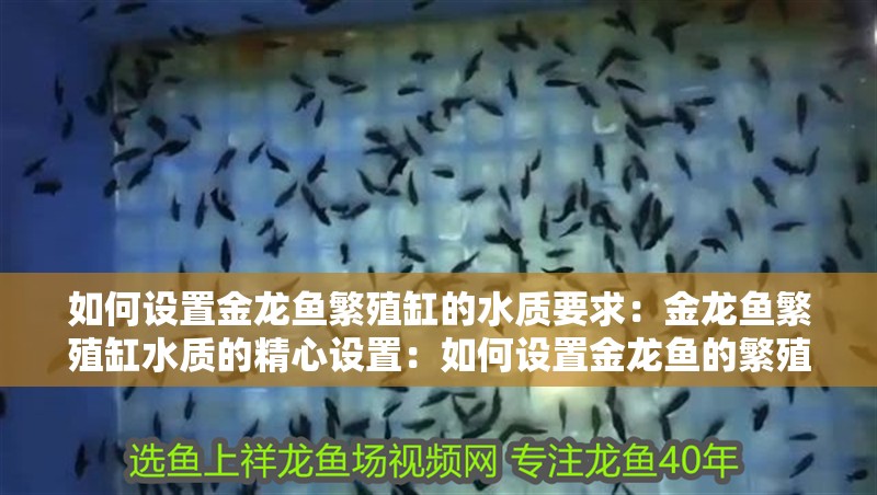 如何設置金龍魚繁殖缸的水質要求：金龍魚繁殖缸水質的精心設置：如何設置金龍魚的繁殖缸水質 如何設置金龍魚繁殖缸的水質要求：金龍魚繁殖缸水質的精心設置：如何設置金龍魚的繁殖缸水質 水族問答
