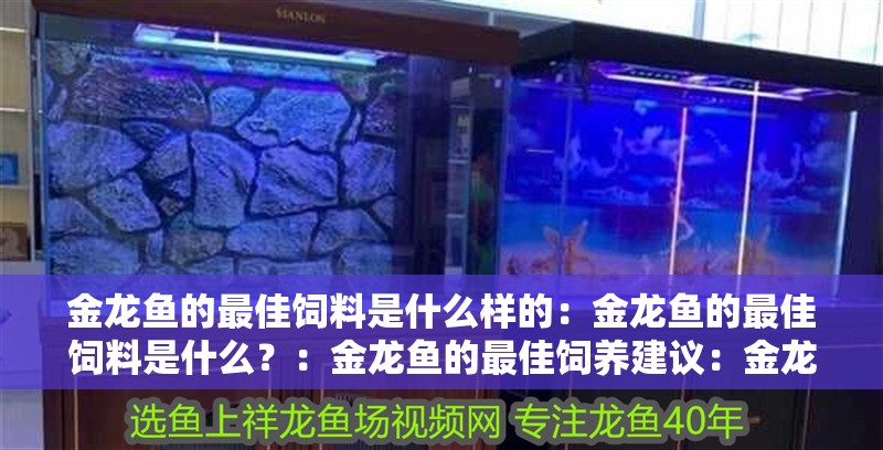 金龍魚的最佳飼料是什么樣的：金龍魚的最佳飼料是什么？：金龍魚的最佳飼養建議：金龍魚的最佳飼料飼養建議 金龍魚的最佳飼料是什么樣的：金龍魚的最佳飼料是什么？：金龍魚的最佳飼養建議：金龍魚的最佳飼料飼養建議 水族問答