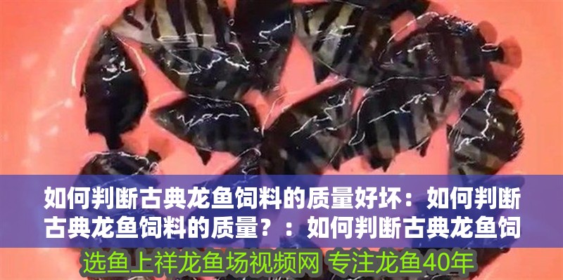 如何判斷古典龍魚飼料的質量好壞：如何判斷古典龍魚飼料的質量？：如何判斷古典龍魚飼料的好壞