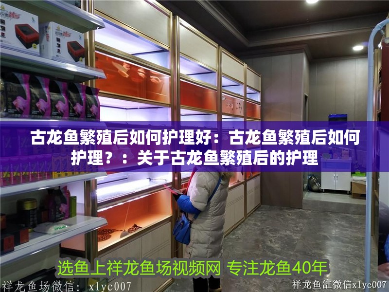 古龍魚繁殖后如何護理好：古龍魚繁殖后如何護理？：關于古龍魚繁殖后的護理